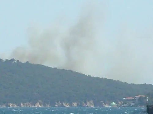 Heybeliada’da orman yangını