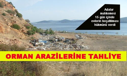 Adalar’da orman alanı üzerindeki binalar tahliye ediliyor