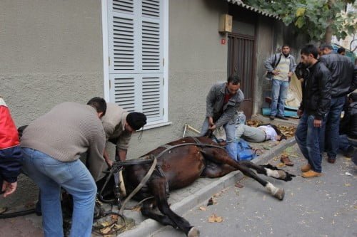 Büyükada’da facia