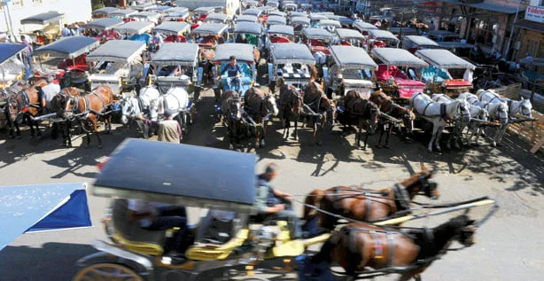 Mahrumiyet ‘Adalar’ı