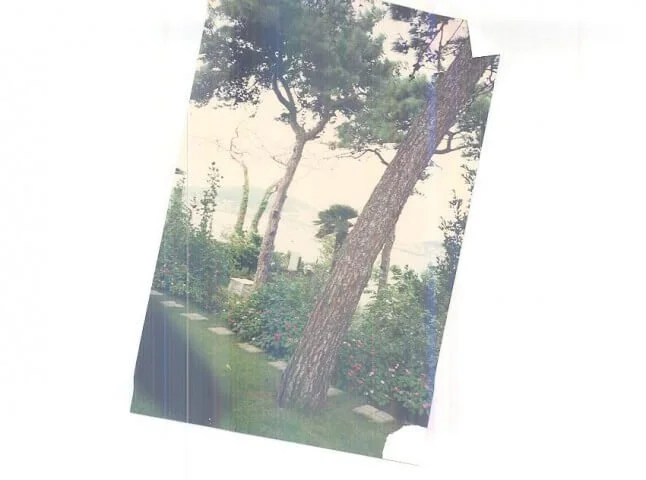 Başkan ve yardımcısı konuştu " tereke mühürü yahu"