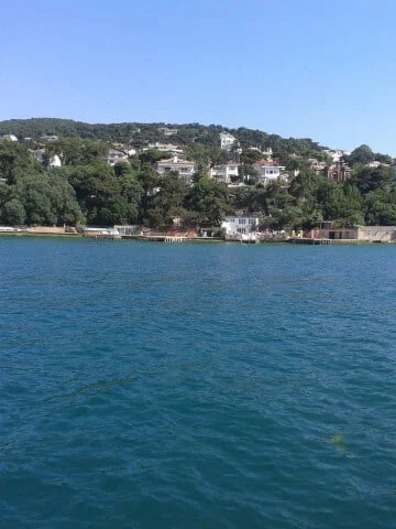 Başkan ve yardımcısı konuştu " tereke mühürü yahu"