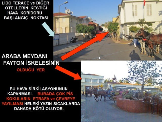 Büyükada'da sahil şeridi terörü