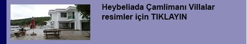 Heybeliada Çamlimanı’ndaki SANKO'ya ait kanunsuz villalar tamamlandı