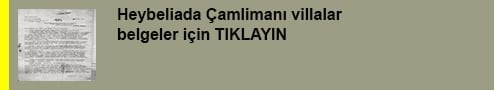 Heybeliada Çamlimanı’ndaki SANKO'ya ait kanunsuz villalar tamamlandı