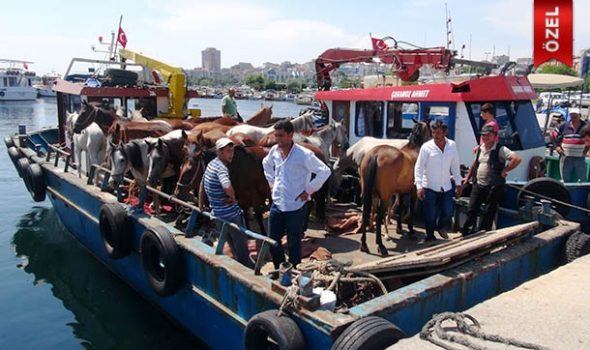 Adalar İlçesi RUAM hastalığı toplantısı kararları