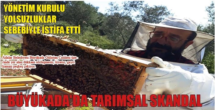 Büyükada’da tarımsal skandal!