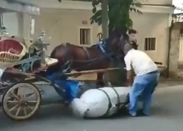 Büyükada’da hoş olmayan görüntüler