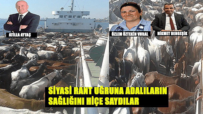 Adaların Ruam gerçeği! Suçlu Kim?