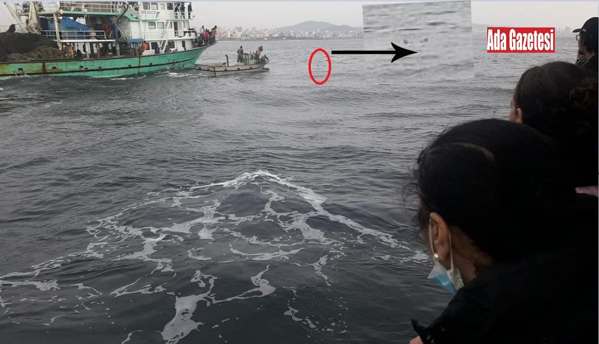 Eminönü-Adalar vapurundaki yolcu denize düştü