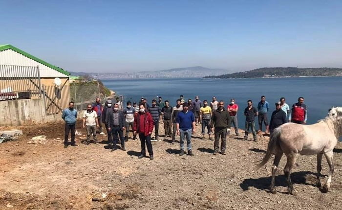 Resimde kaç kişi maske takıyor? Anket