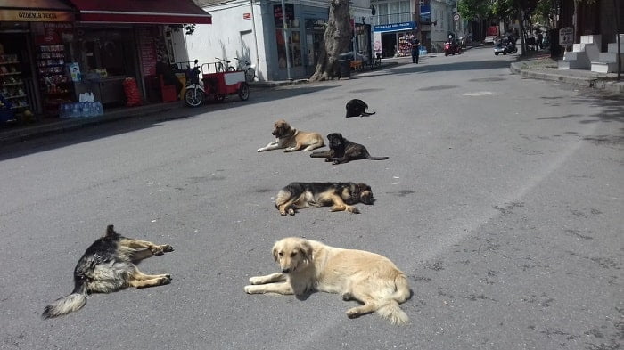 Sosyal mesafemizi koruyalım!