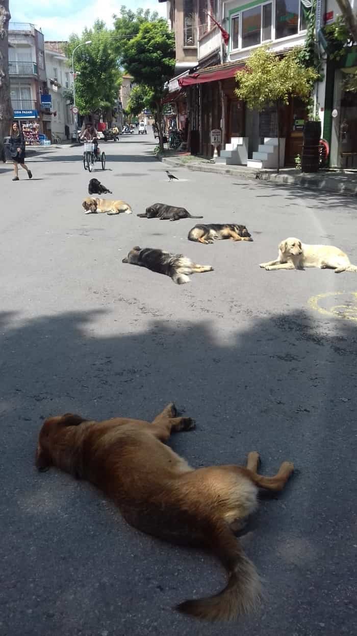 sosyal-mesafemizi-koruyalim!