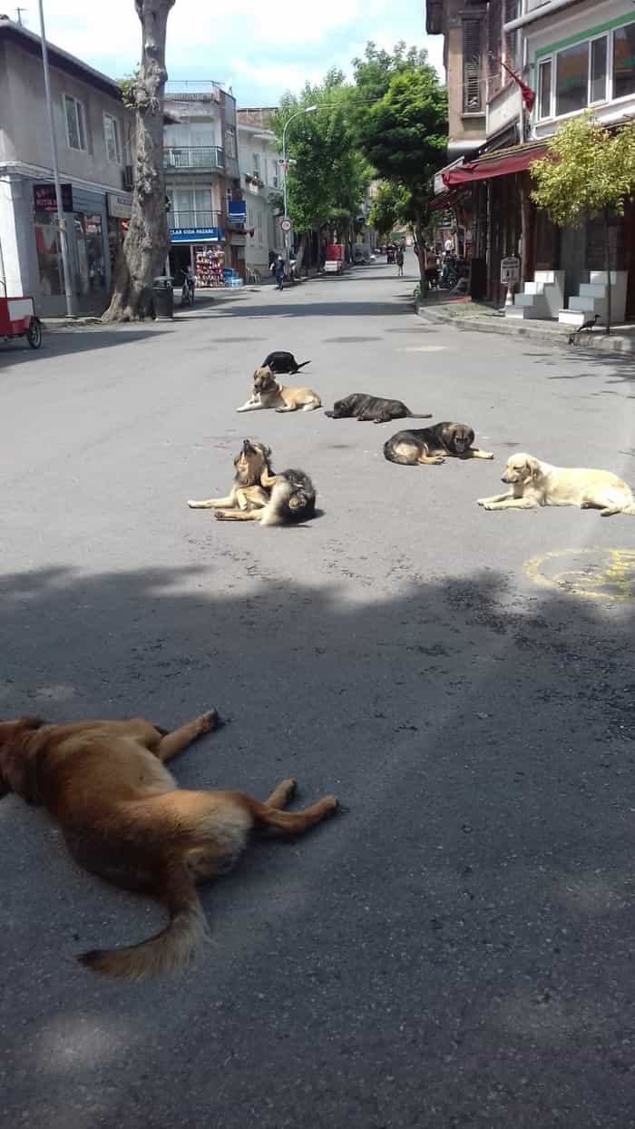 sosyal-mesafemizi-koruyalim!