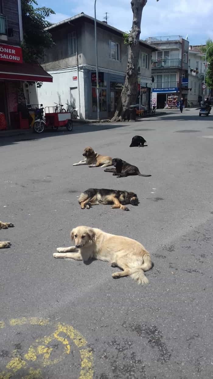 sosyal-mesafemizi-koruyalim!