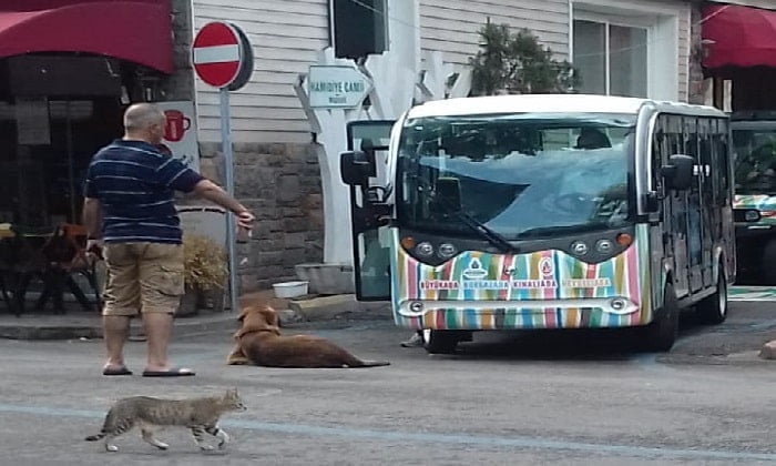 Adalar Kaymakamlığı İBB’nin elektrikli araç başvurusunu reddetti