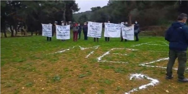 Büyükada'da büyük tehlike! Topraktaki "Striknin" insanlara geçti mi?