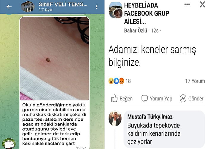 Kene, çöp, asfalt çökmeleri Adalar’dan son haberler