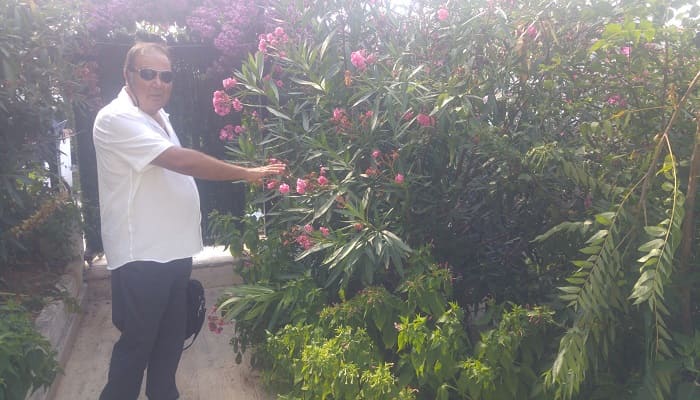 Büyükada’daki ‘Fişekhane Çıkmazı’ sokağının üstüne kimler çöktü