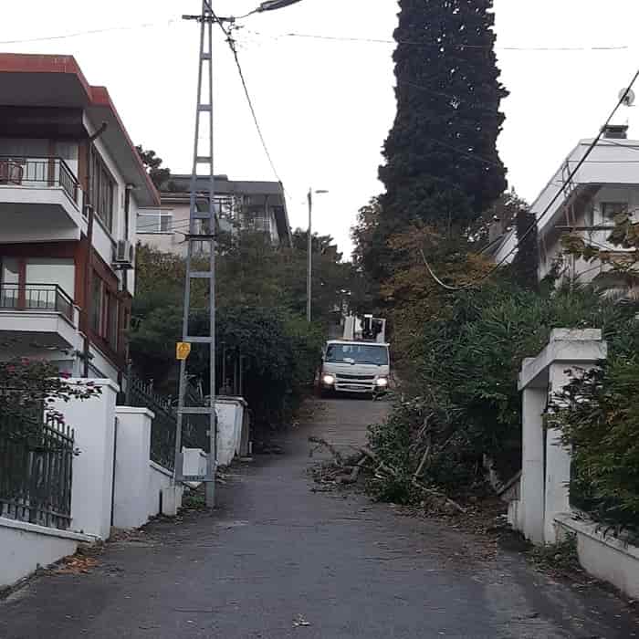 Sokaklardaki toplanmayan çalı çırpı hizmet araçları için ciddi tehdit!