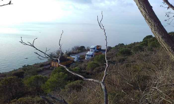 Burgazadası'nda çevre katliamı!