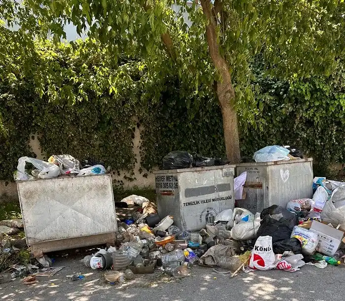 Büyükada’da bu görüntüler tepki çekti