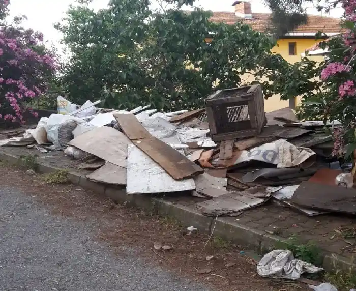 Büyükada Tepeköy Mahallesini keneler bastı! Çöpler toplanmıyor, sokaklar temizlenmiyor.