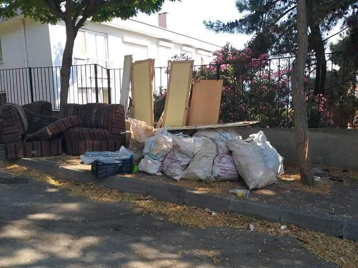 Çöp konteynerlerinden beslenen hayvanlar, çöp sergi alanı, Adalar’dan görüntüler!