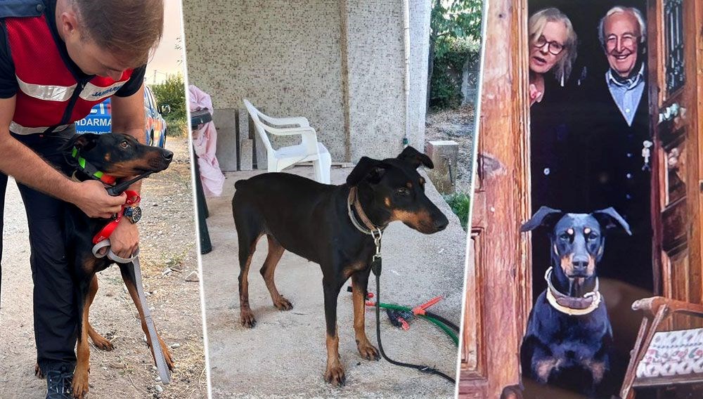 Arama çalışmalarında 85’inci gün | Korhan Berzeg’in köpeği Tina’nın tahlillerinden de sonuç çıkmadı