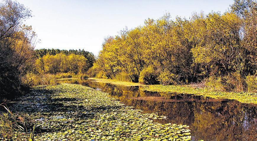 30 dakikada doğayı keşfedin!..
