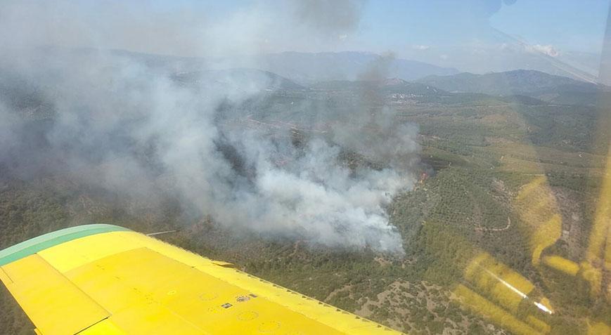 İzmir’de orman yangını! Havadan ve karadan müdahale ediliyor