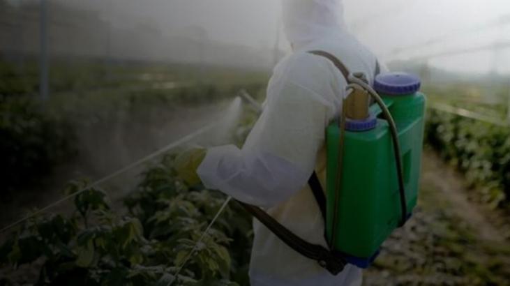 ‘Pestisit kullanımı yüzde 40 arttı’