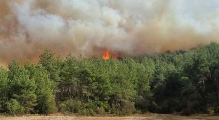 2 noktada orman yangını: Müdahale sürüyor