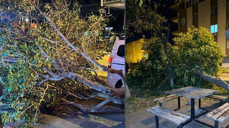 Antalya’da şiddetli fırtına! Ağaçlar devrildi, tekne battı