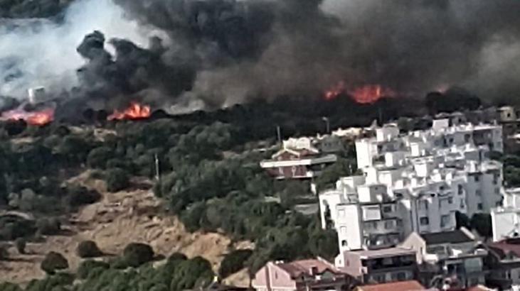 İzmir’de  yerleşim yerlerine yakın alanda orman yangını çıktı