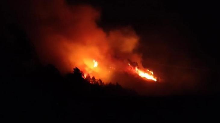 Trabzon’da orman yangını! Ekipler müdahale etti