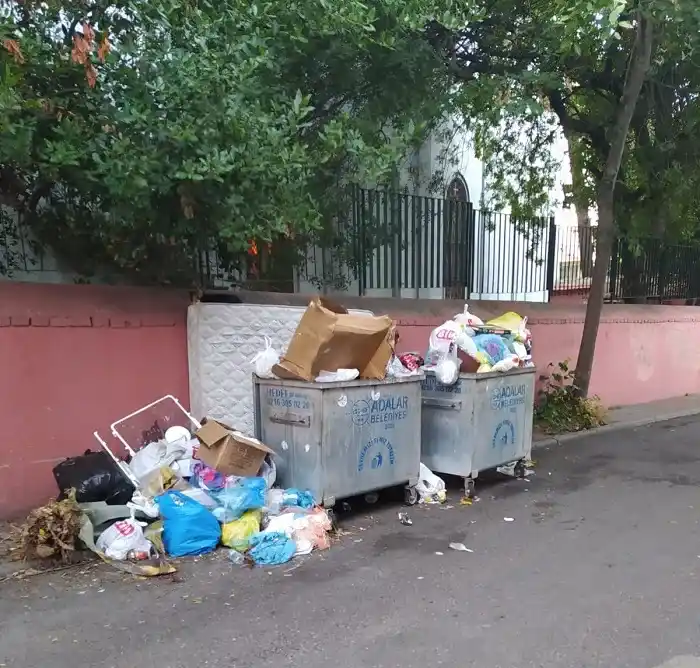 Adaların her yerinde mevcut: Önlem alınamıyor!