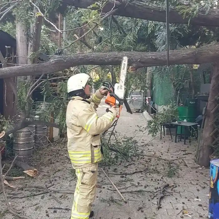 Burgazadası'nda şiddetli rüzgardan devrilen ağaç işyerinin üstüne düştü