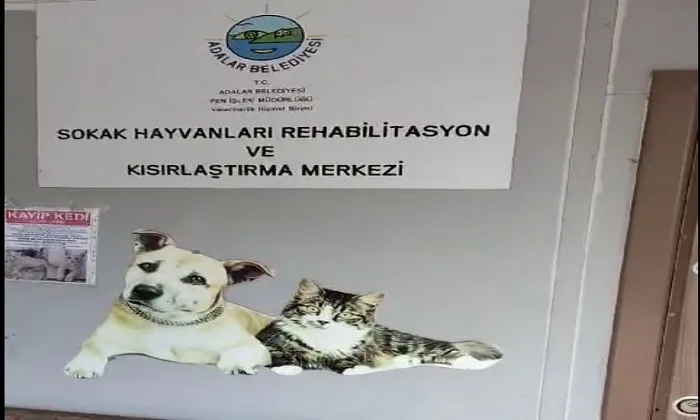Hayvanseverlerin Büyükada Rehabilitiasyon Merkezi tepkisi