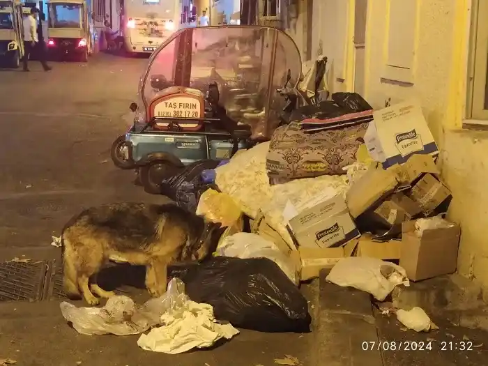 Artık insan sağlığını tehdit eder boyuta geldi!