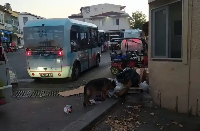 Büyükada’da İETT’nin çöplü peronu