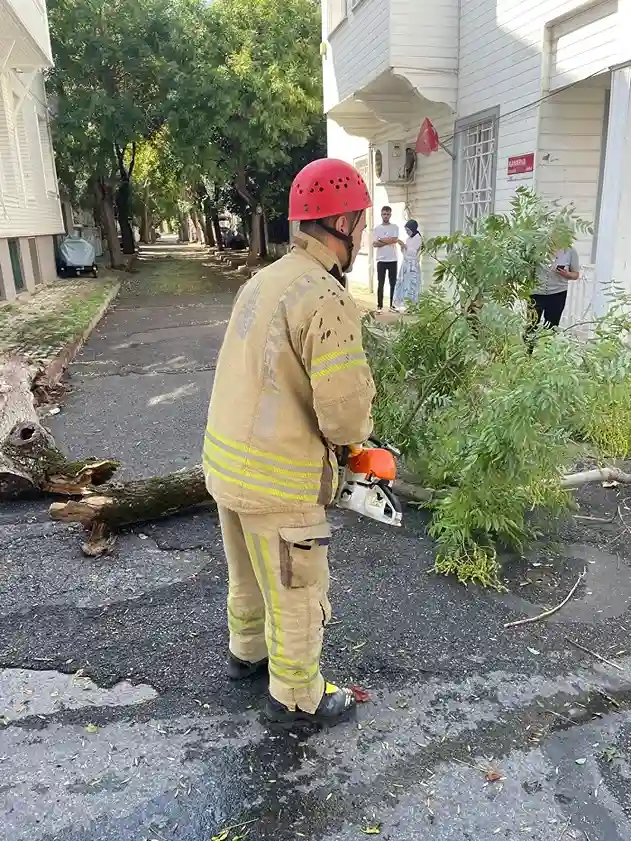 Adalar’da art arda ağaçlar devrildi: Yaralı var!