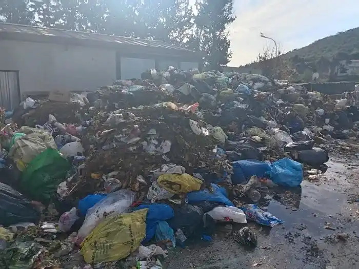 Büyükada'da çekilen bu görüntüler Adalıların içini acıttı