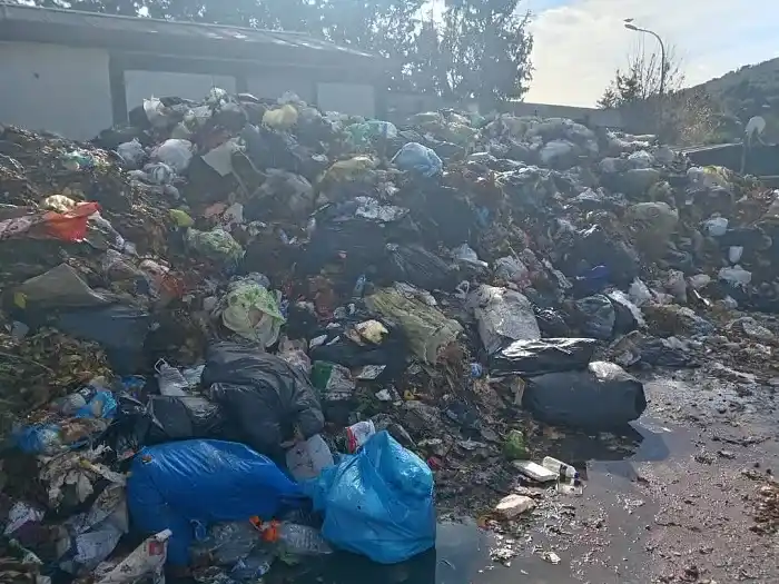 Büyükada’da çekilen bu görüntüler Adalıların içini acıttı