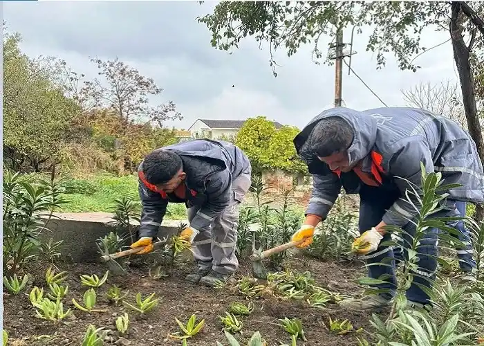 Heybeliada Demirtaş Parkı’nda bakım