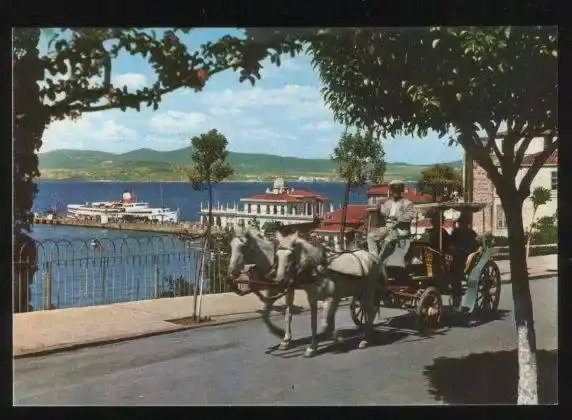 Adalar’da Atların İzleri: Geçmişten Günümüze Uzanan Bir Hikaye