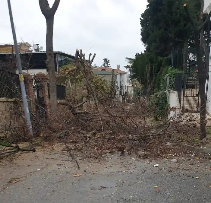 Adalar’da Budama Çalışmaları Yolu Kilitledi!