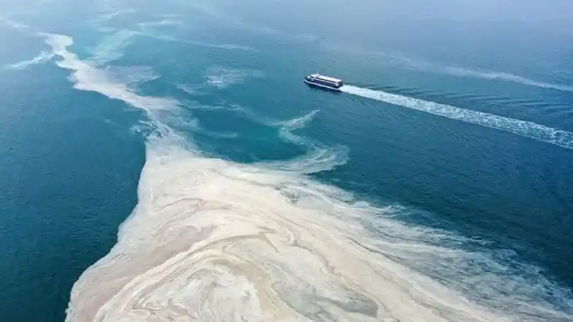 Marmara Denizi’ni Nasıl Olumsuz Etkilediği Gözler Önüne Serildi!