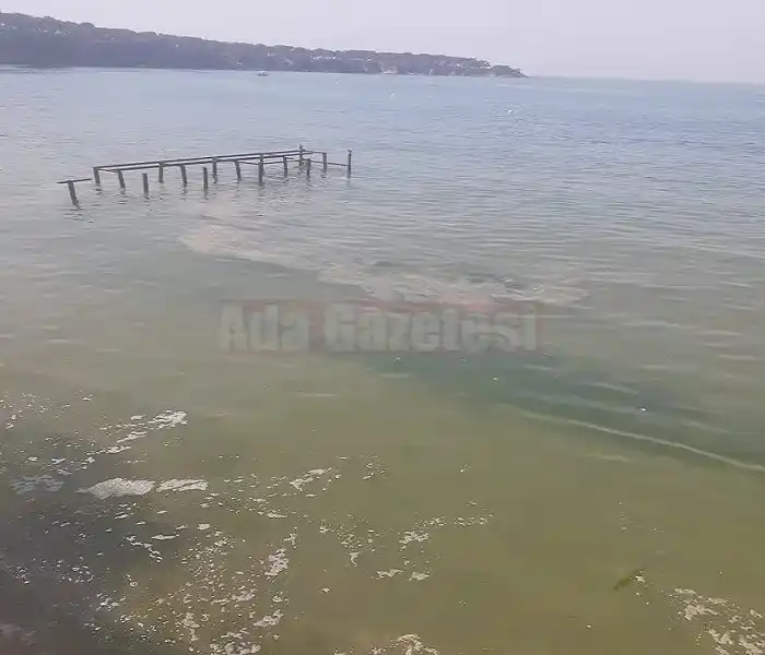 Marmara Denizi’nde Müsilaj: Kirlilik ve Oksijen Azlığının Etkisi