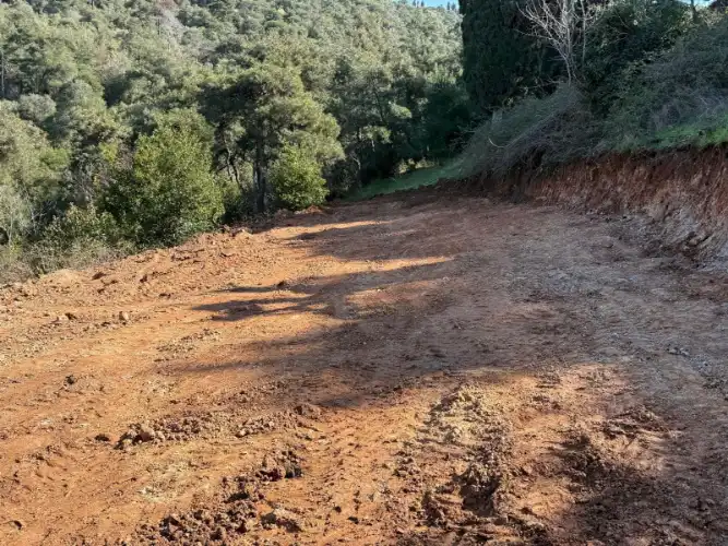 Büyükada’da Orman ve Milli Emlak Arazisinde Gizemli Kazı Çalışmaları